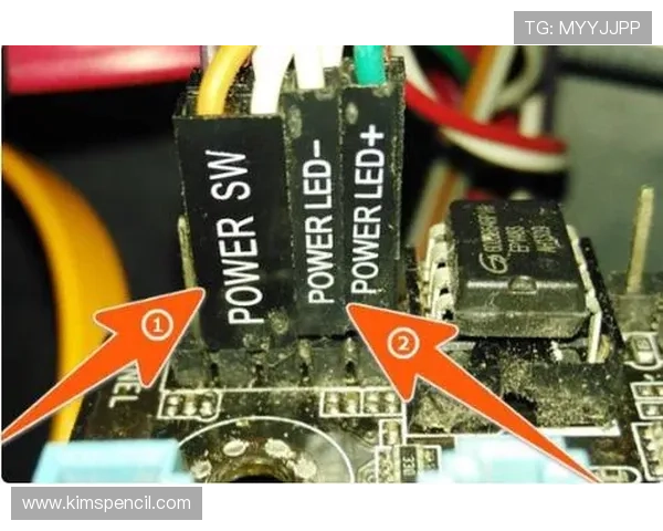 如何正确接好老虎机里面的线，详细步骤让你轻松掌握线的连接方法